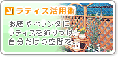 ���e�B�X���p�p