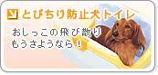 �Ƃт���h�~���g�C��