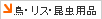 ���E���X�E�����p�i