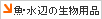 ���E���ӂ̐����p�i