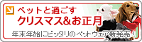 �y�b�g�Ɖ߂����N���X�}�X��������