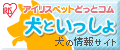 �A�C���X�@�y�b�g�h�b�g�R���@���Ƃ�������