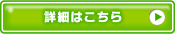 �ڍׂ͂�����