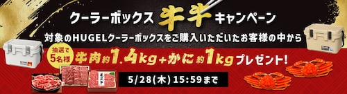 �N�[���[�{�b�N�X�����L�����y�[��