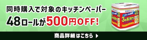 wŃLb`y[p[500~OFF