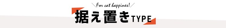 �����u���^�C�v