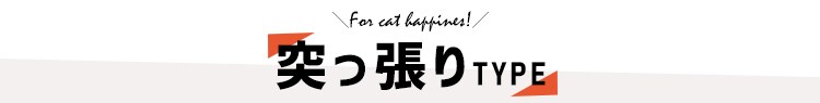 �˂�����^�C�v