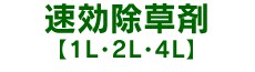 ���������܁y1L�E2L�E4L�z