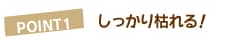 POINT1@͂I