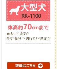���b�W���� RK-1100