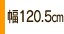 ���b�`�F�� �X�^���h�ȈՃy�b�g�Q�[�g120