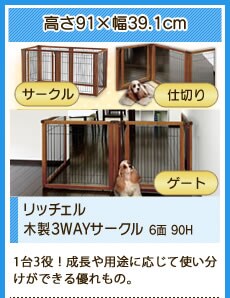 ���b�`�F���ؐ�3WAY�T�[�N�� 6�� 90H