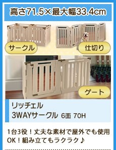 ���b�`�F��3WAY�T�[�N�� 6�� 70H
