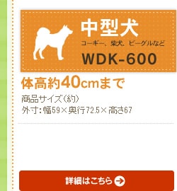 EbfB WDK-600