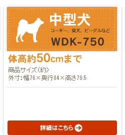 EbfB WDK-750
