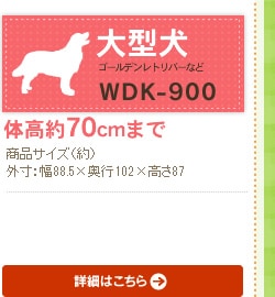 EbfB WDK-900