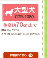 Re[W CGR-1080