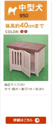 {unEX 950