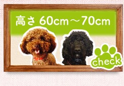 60cm`70cm