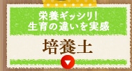 �|�{�y