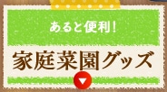 �ƒ�؉��O�b�Y