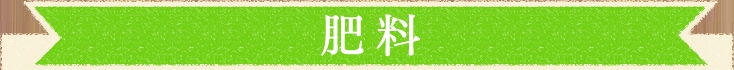 �y�엿�z