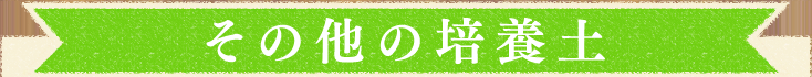y̑̔|{yz