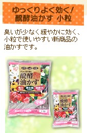 悭Iyf@