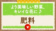 엿