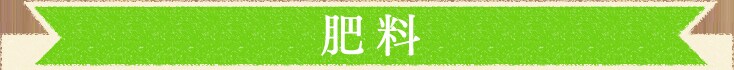 y엿z