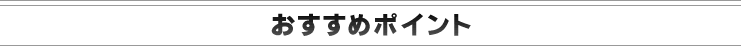 �������߃|�C���g