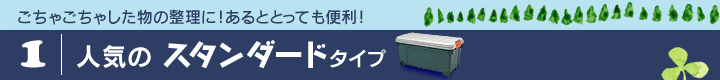 �l�C�̃X�^���_�[�h�^�C�v