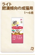 Cg 얞X̐Lp(1`6)