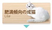 얞X̐L