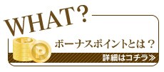 ボーナスポイントとは?