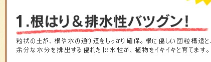 根はり・排水性バツグン！