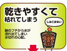 乾きやすくて枯れてしまう