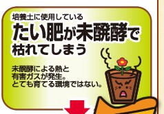 堆肥が未発酵で枯れてしまう