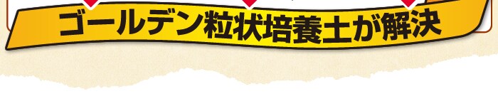 ゴールデン粒状培養土が解決！