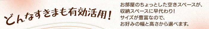 �ǂ�Ȃ����܂��L�����p�I
