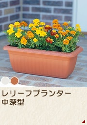 レリーフプランター中深型