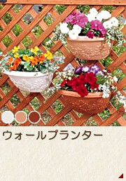 ウォールプランター