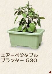 エアベジタブルプランター530
