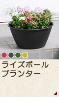 ライズボールプランター
