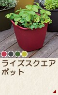 ライズスクエアポット