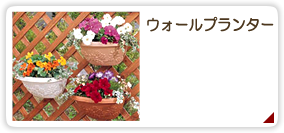 ウォールプランター