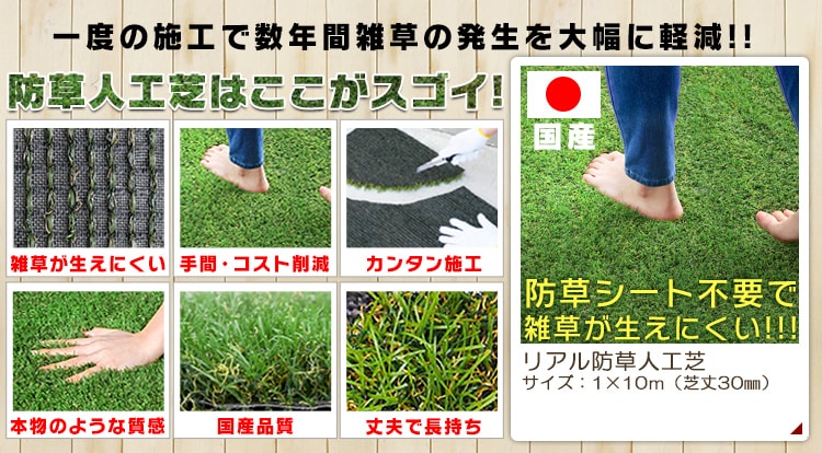 防草人工芝