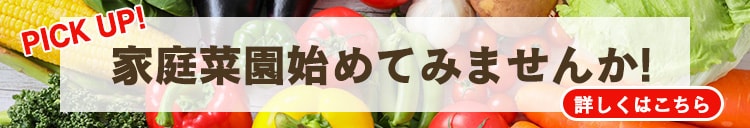 家庭菜園を始めよう