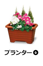 プランター