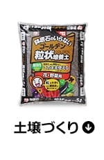 土壌づくり